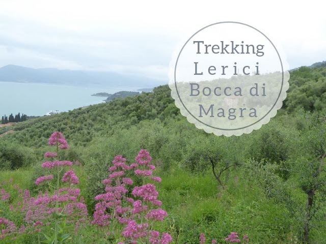 Trekking nel Parco di Montemarcello: panorama sul golfo dei poeti