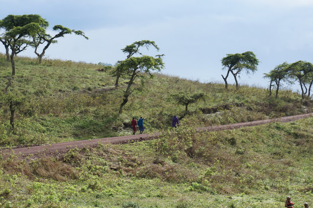 Serengeti National Park