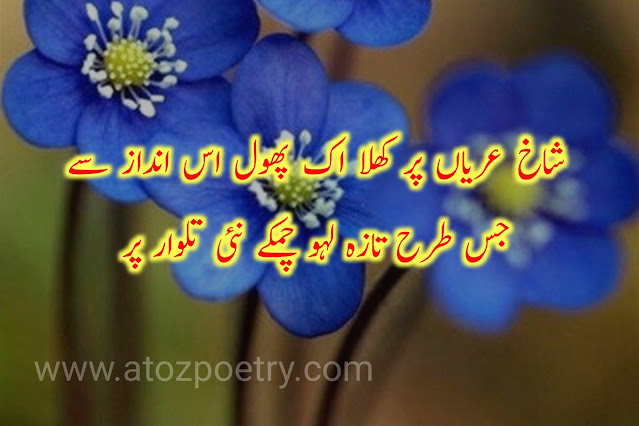 Rose flower poetry in urdu, Image of Phool poetry, Phool poetry, Image of Rose Poetry in Urdu sms, Rose Poetry in Urdu sms, Image of Love gajray Poetry, Love gajray Poetry, Gajra Poetry in Urdu Text, Sad poetry on Flowers in Urdu, poetry on flowers in urdu sms, famous poems about flowers,rose poetry in english, Phool Quotes in Urdu, Image of Flower Love poetry in urdu, Flower Love poetry in urdu, Poetry on flowers in English, Image of Gajra Poetry in english, Gajra Poetry in english, Image of Red Rose Poetry in Urdu, Red Rose Poetry in Urdu, rose poetry in urdu text, flower poetry, flower poetry in urdu copy paste, poetry on flowers in urdu sms,Flowers Poetry in Urdu 2 lines, Phool par shayari in urdu, Image of Phool Quotes in Urdu, Phool Quotes in Urdu, Image of Romantic Rose poetry in urdu, Romantic Rose poetry in urdu, | A To Z Poetry