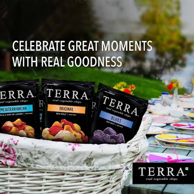 Terra Chips