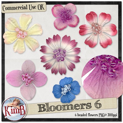 kb-bloomers6