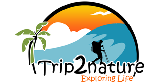 Trip2nature