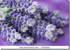 1_lavender62