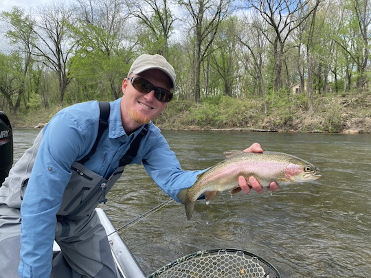 Fat Norfork River rainbow trout