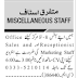 Private Company Executive Jobs Islamabad 2024