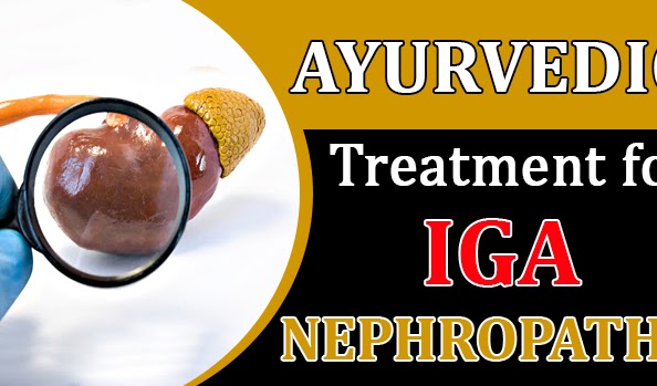 Ayurvedic treatment for IgA nephropathy