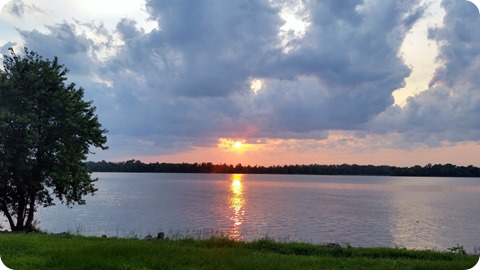 620-Willow Beach, AR 4