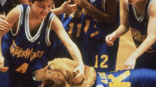 Air Bud - Champion auf vier Pfoten 1997 hd filme