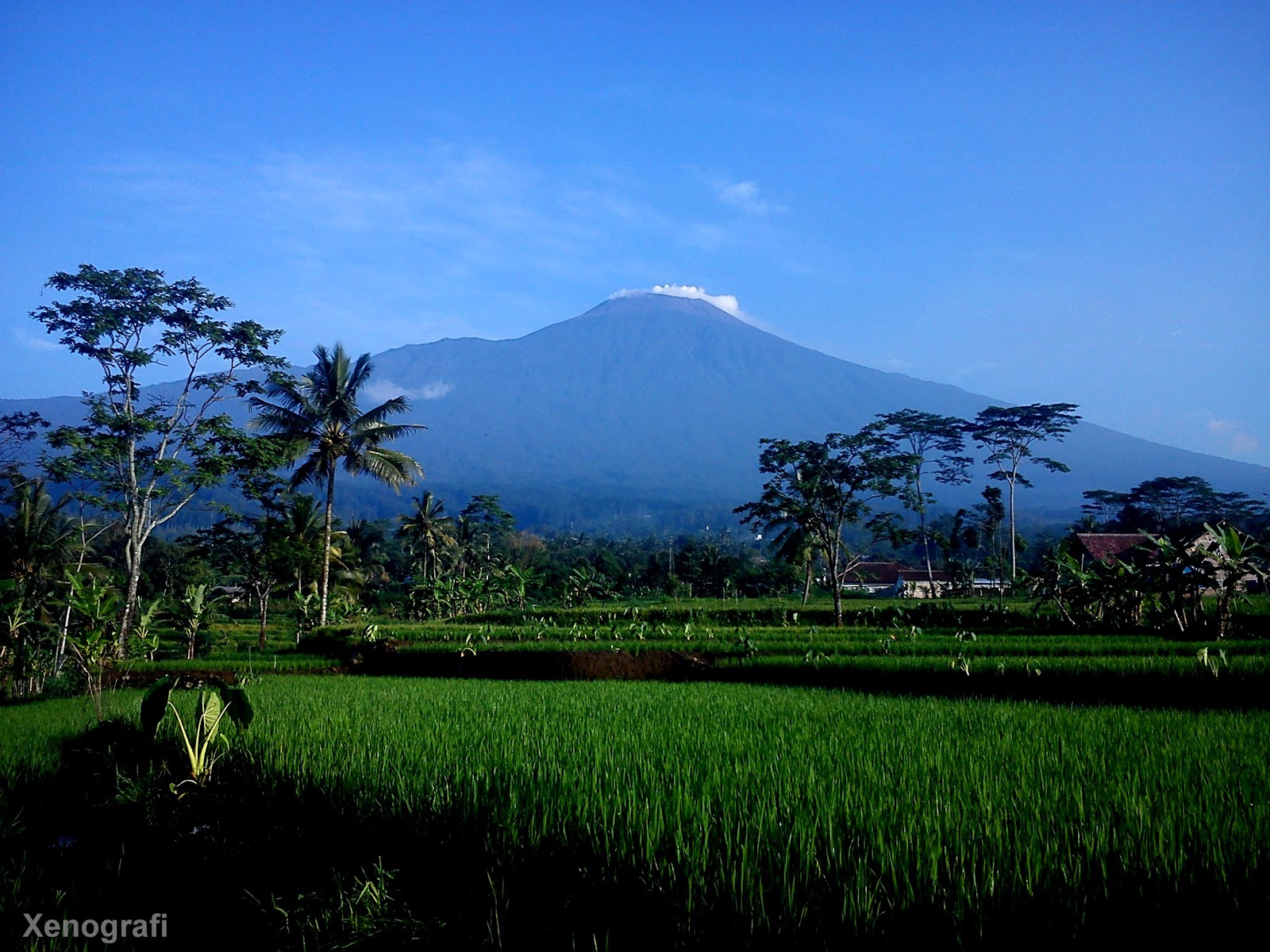 Xenografi Kompilasi Foto Gunung Slamet 