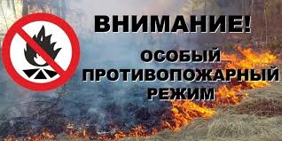 (ФОТО) Сухой Лог Особый противопожарный режим