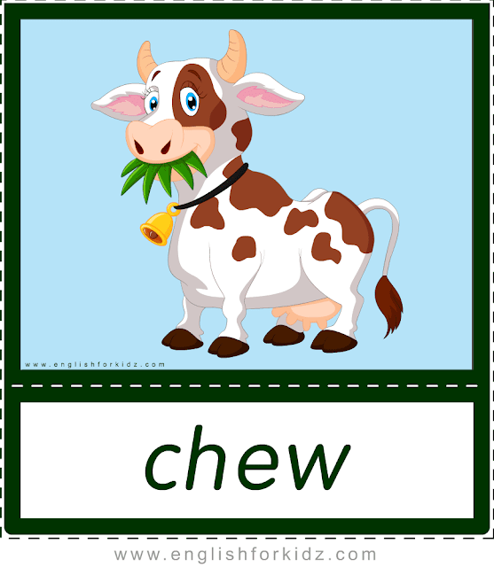 Chew (cow) - printable animal actions flashcards for English learners