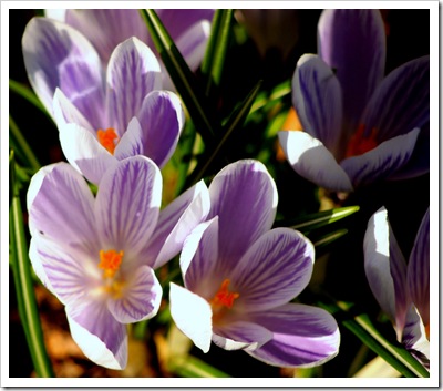21st March 3
