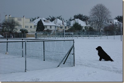 Christmas 064