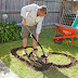 Parents Are Converting Their Backyards Into Tiny DIY Racetracks