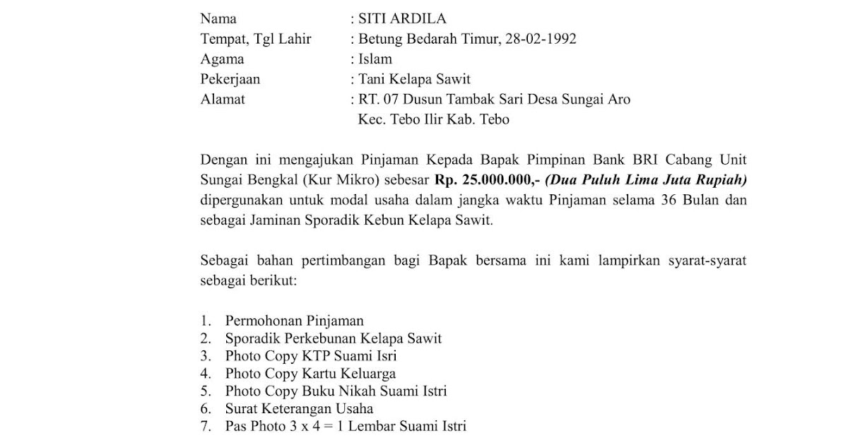 CONTOH SURAT ORTON: Contoh Surat Permohonan Pinjaman Modal 