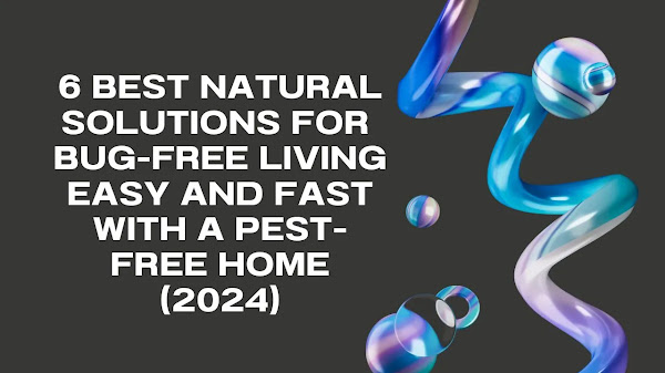 6 Best Natural Solutions for  Bug-Free Living Easy and Fast with a Pest-Free Home (2024)