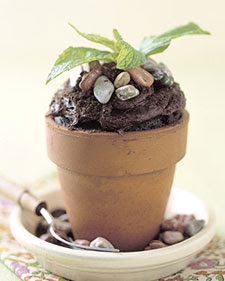 Flower Pot Cake