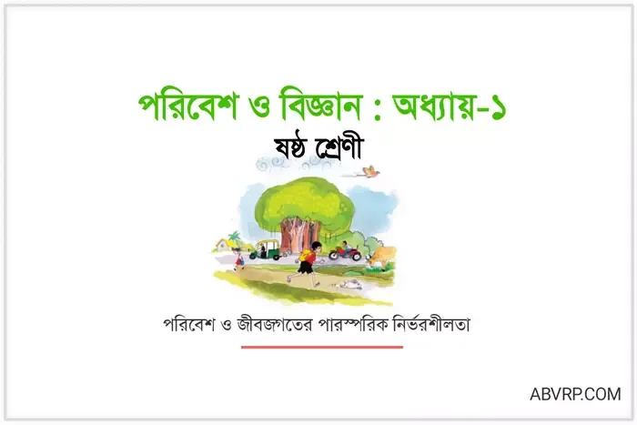 অধ্যায় 1 প্রশ্ন উত্তর