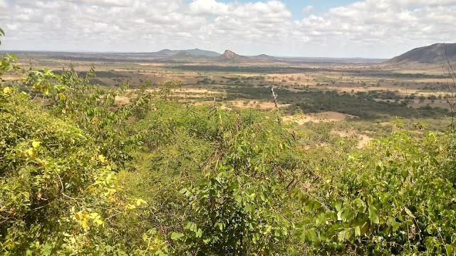 SERRA DO FIDÉLIS - LUGAR IDEAL PARA A PRÁTICA DE TRILHAS ECOLÓGICAS