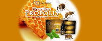 http://www.ardadinata.com/2015/01/propolis.html