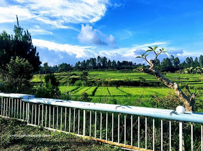 [http://FindWisata.blogspot.com] Piltik Cofee Siborong -Borong, Cafe Bernuansa ala Eropa. 