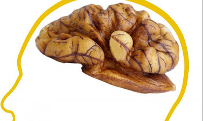 Walnut brain