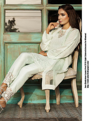 am-54-light-green-organza-jacket-from-zara-shahjahan-luxury-pret-2015