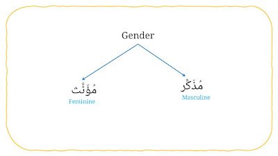 gender in arabic grammar: mudhakkar and mu-annath