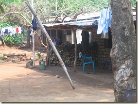 Home Woodpile