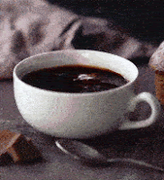 Элитные сорта кофе