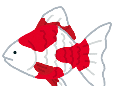 金魚 イラスト おしゃれ フリー 266952