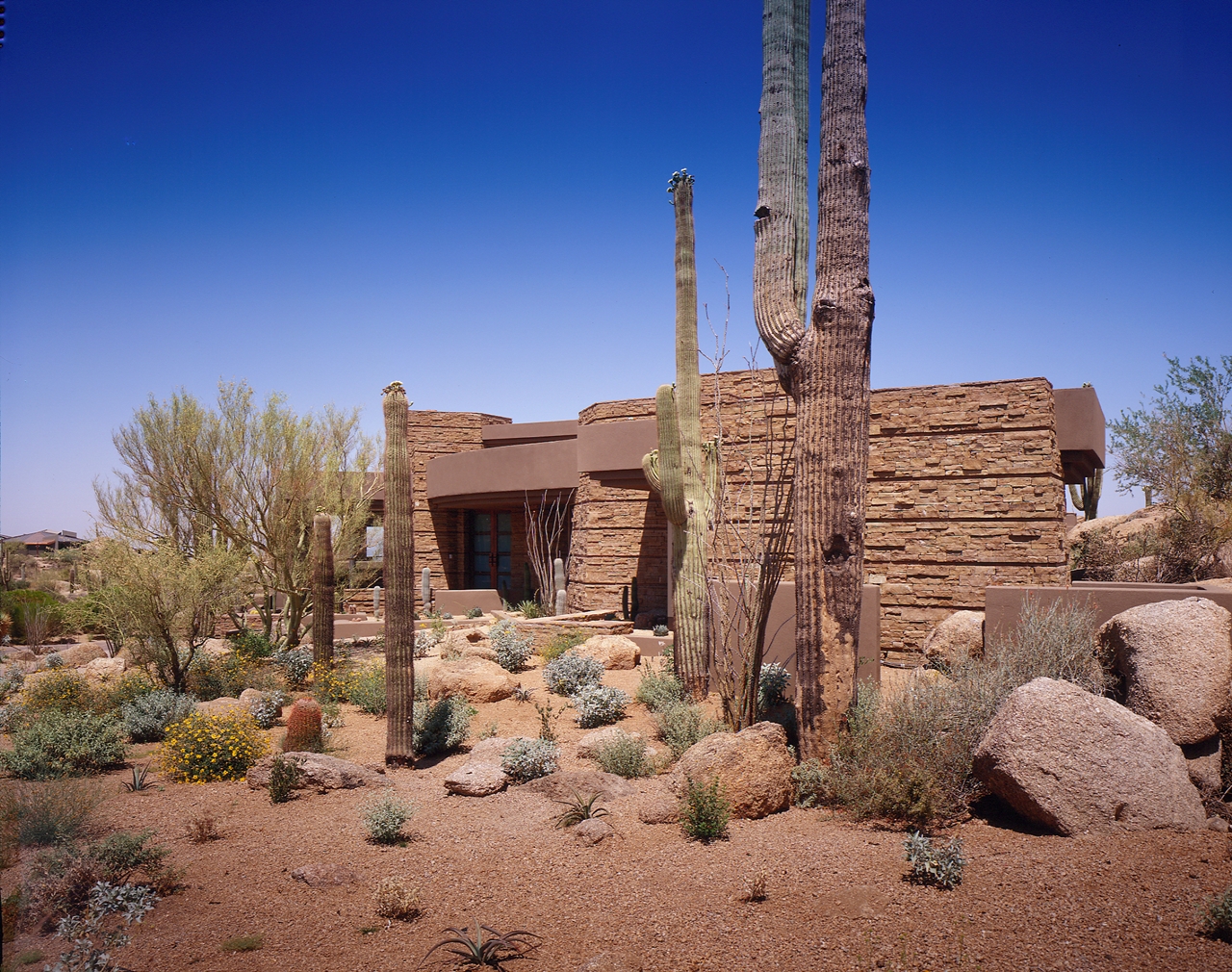 Scottsdale Landscape Design