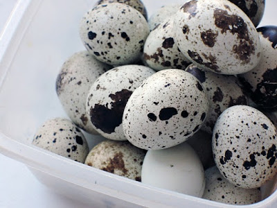 speckled quail eggs