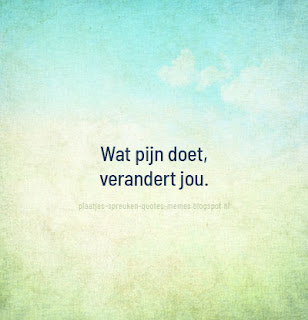wijze quotes nederlands