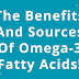 Exploring the Role of Plant-Based Omega-3s in Brain Function.