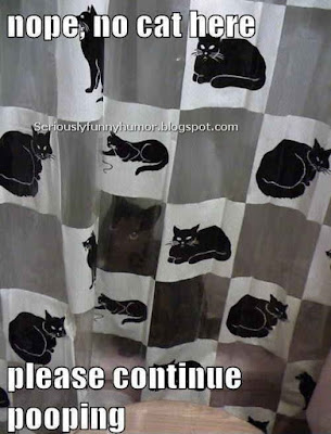 Cat shower curtain funny meme - nope, no cat here. Please continue pooping!