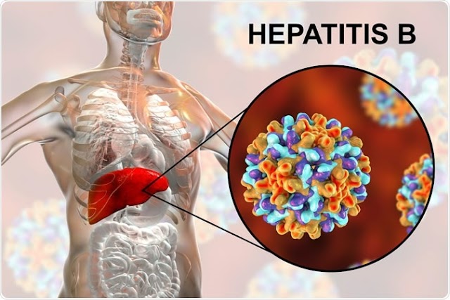  Hepatitis B, Its Symptoms, Causes and treatment