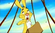 07 Coco Lapin