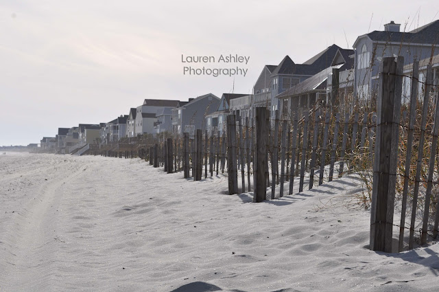 Beach Houses and Sand Dunes