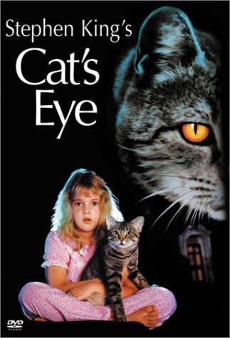 pictures of cats eyes. cat eyes road.