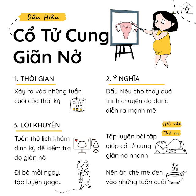 Độ mở cổ tử cung thường được tính bằng cm và khi cổ tử cung mở hết 10cm, tức là mẹ đã sẵn sàng cho quá trình lâm bồn