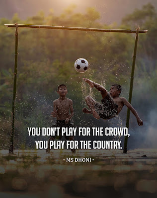 Inspirational Sports Quotes - "You don't play for the crowd, you play for the country"