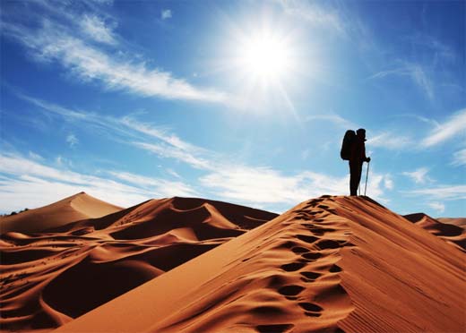 Consejos para sobrevivir en el desierto 