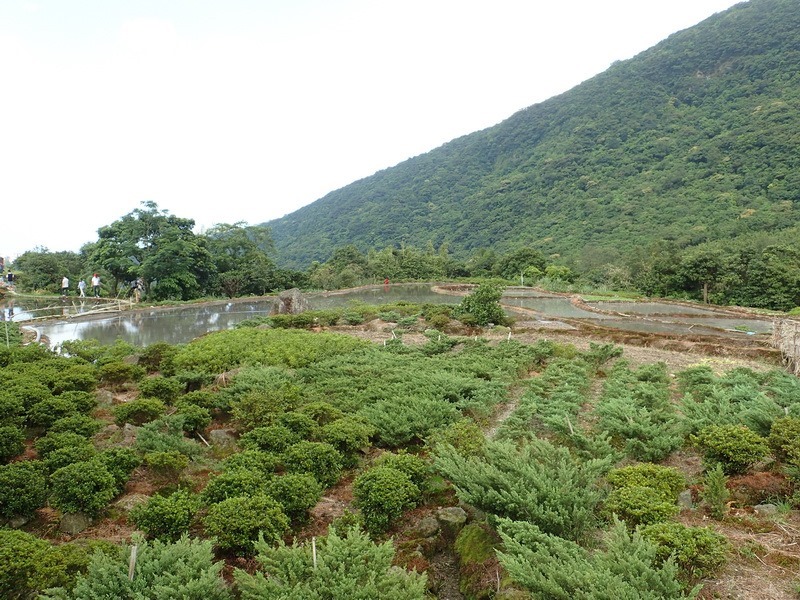 2014_0928 七星池慶生_014