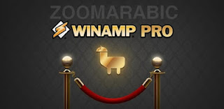 برنامج Winamp Pro تشغيل ملفات الصوت والفيديو