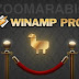 برنامج Winamp Pro تشغيل ملفات الصوت والفيديو