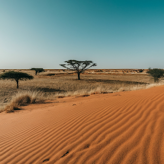 Vast Sahel landscape in Niger featuring sparse vegetation, acacia trees, sand dunes, and a clear blue sky