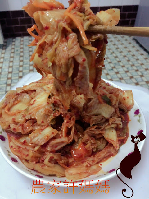 令人食指大動韓國泡菜