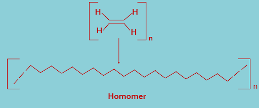 Homomer