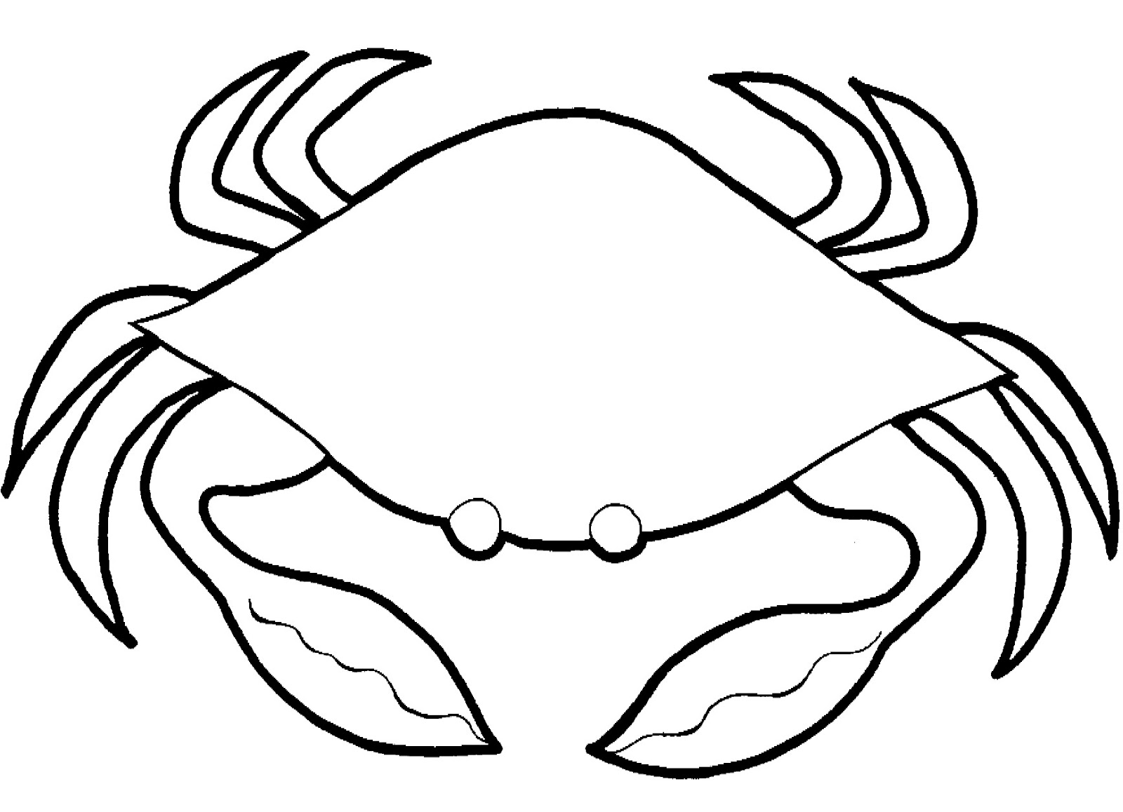 17 Marine Animals " Crab " Coloring Sheet